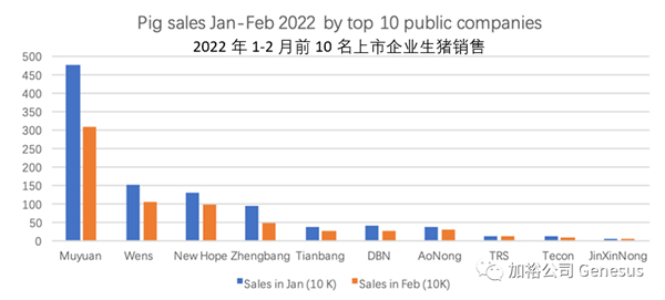 中国电子游艺网站下载安装
