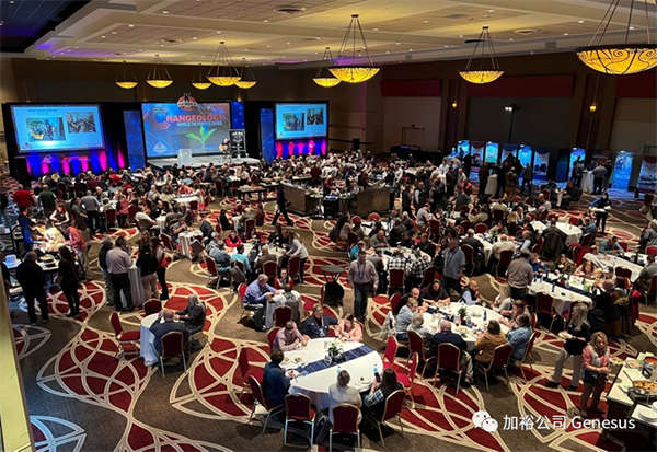 中国电子游艺网站下载安装
