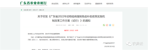 中国电子游艺网站下载安装
