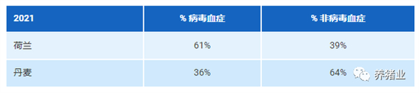 中国电子游艺网站下载安装
