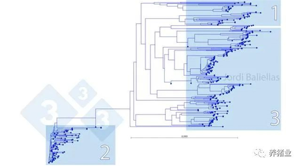 中国电子游艺网站下载安装
