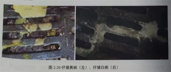 中国电子游艺网站下载安装
