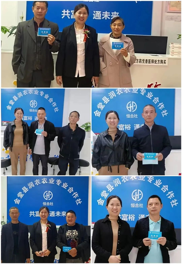 中国电子游艺网站下载安装
