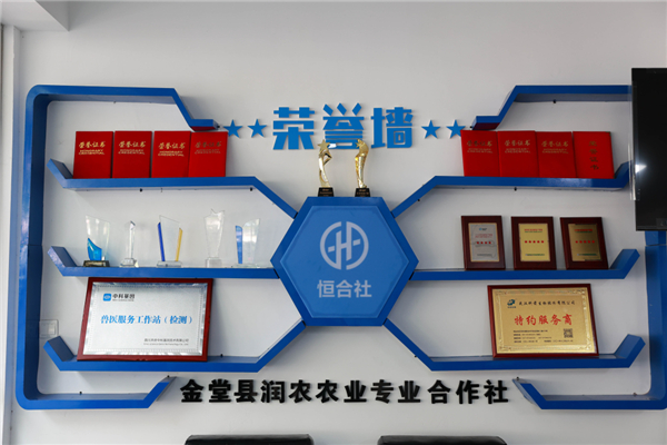 中国电子游艺网站下载安装
