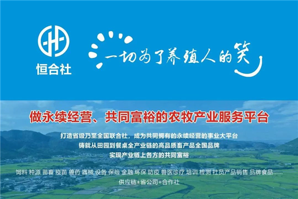 中国电子游艺网站下载安装
