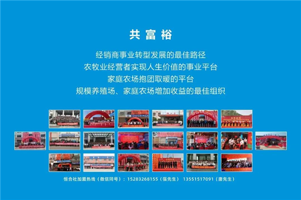 中国电子游艺网站下载安装
