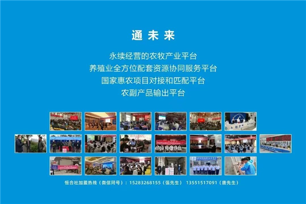 中国电子游艺网站下载安装
