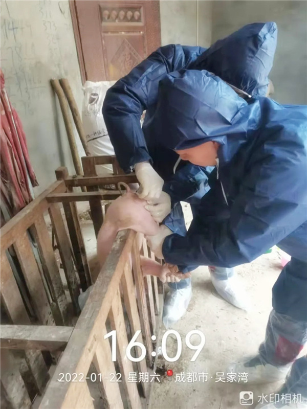 中国电子游艺网站下载安装
