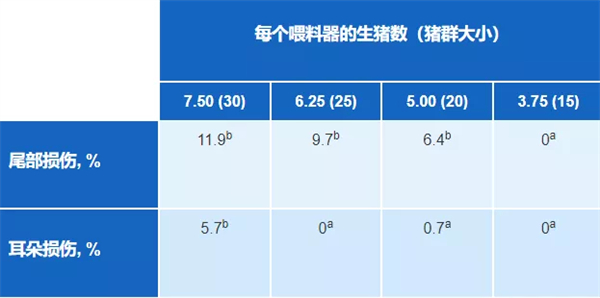 中国电子游艺网站下载安装
