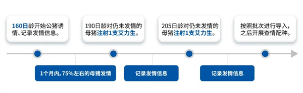 中国电子游艺网站下载安装
