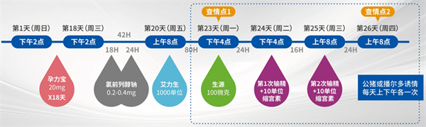 中国电子游艺网站下载安装
