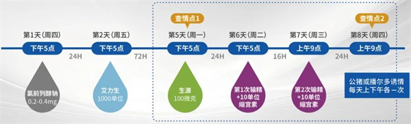 中国电子游艺网站下载安装
