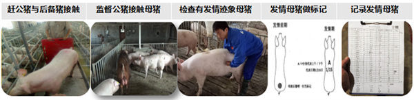 中国电子游艺网站下载安装
