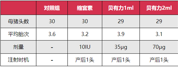 中国电子游艺网站下载安装
