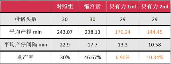 中国电子游艺网站下载安装
