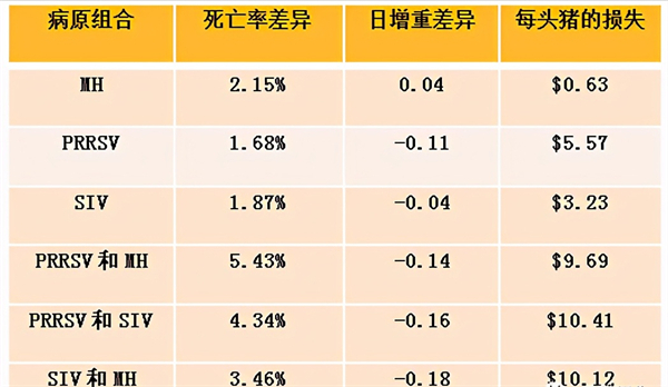 中国电子游艺网站下载安装
