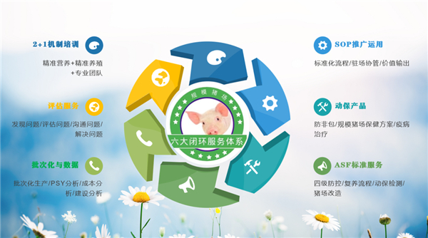 规模电子游艺网站
 | 非瘟育肥电子游艺网站
复养