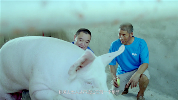 用专业和真诚，服务好每一位客户