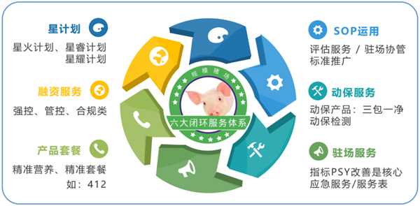 规模电子游艺网站
 | 200头母电子游艺网站
膘情管理