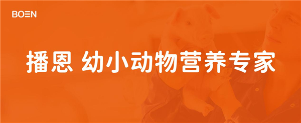 中国电子游艺网站下载安装
