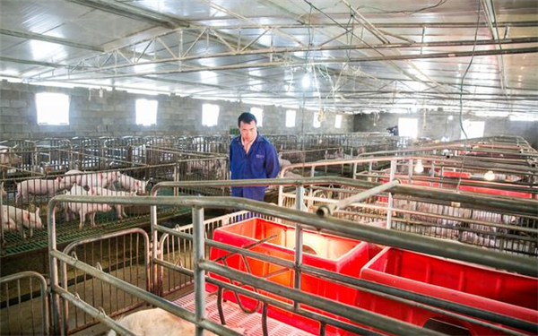 电子游艺网站
建设最容易犯的4个错误，你踩雷了吗？
