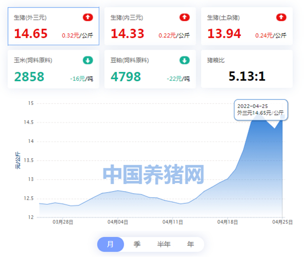 中国电子游艺网站下载安装