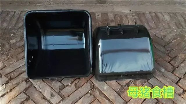 中国电子游艺网站下载安装
