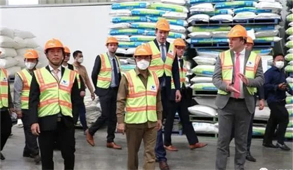 中国电子游艺网站下载安装
