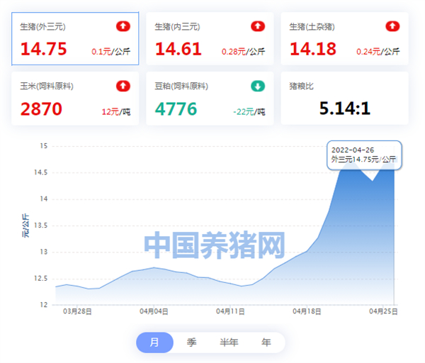 中国电子游艺网站下载安装