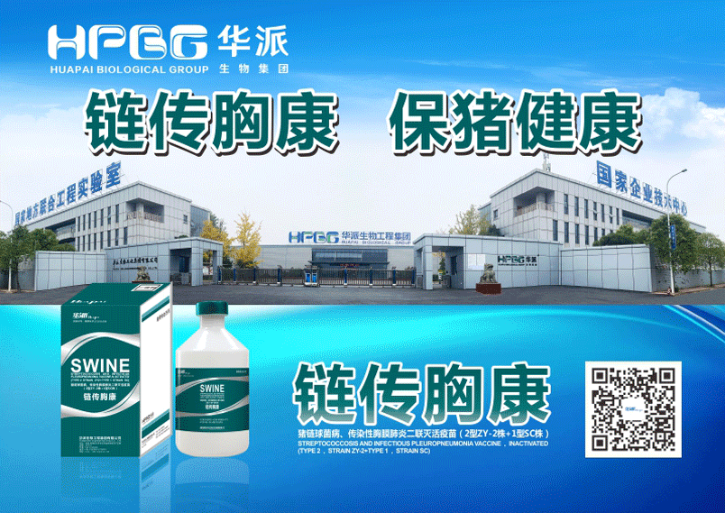 猪圆环病毒病特点及防控措施