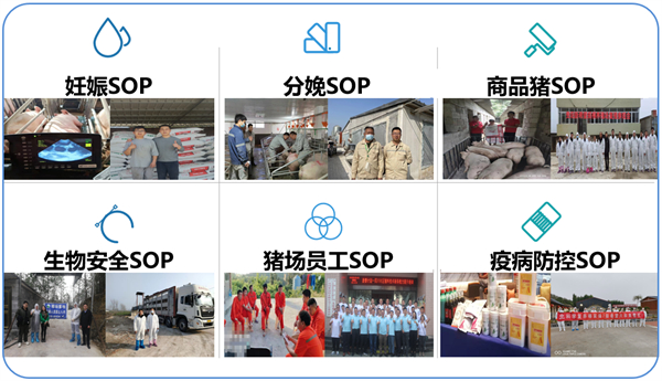 中国电子游艺网站下载安装
