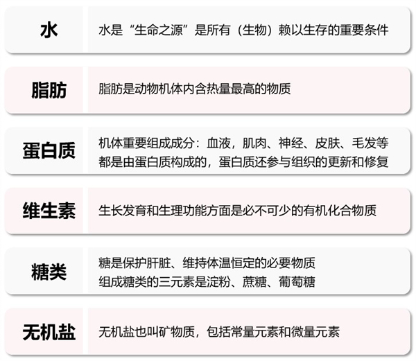 中国电子游艺网站下载安装
