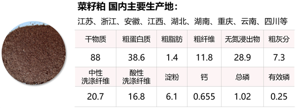 中国电子游艺网站下载安装

