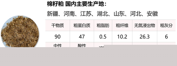 中国电子游艺网站下载安装
