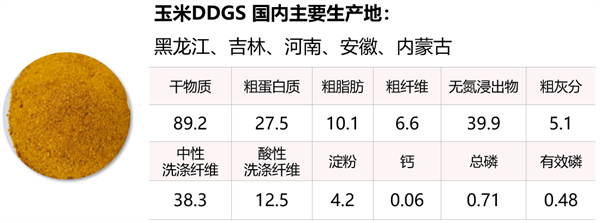 中国电子游艺网站下载安装
