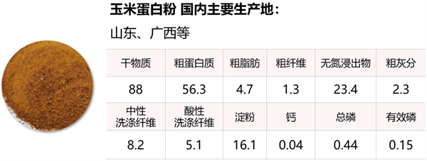 中国电子游艺网站下载安装

