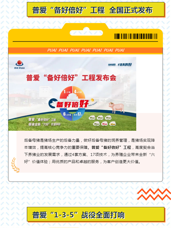 中国电子游艺网站下载安装
