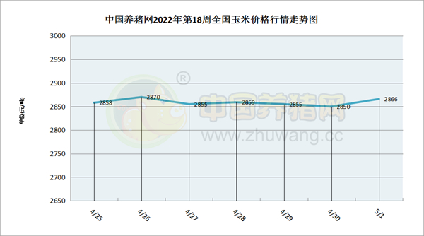 中国电子游艺网站下载安装
