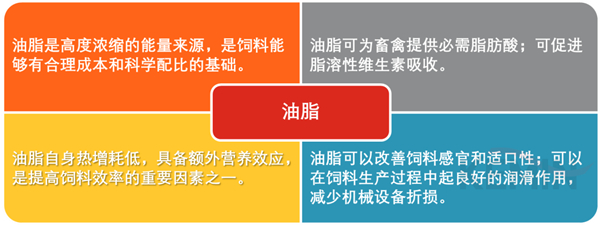 中国电子游艺网站下载安装
