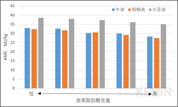 中国电子游艺网站下载安装