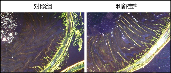 中国电子游艺网站下载安装
