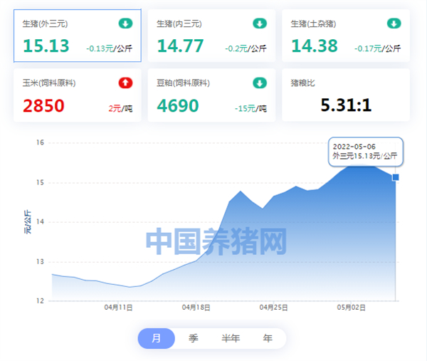 中国电子游艺网站下载安装