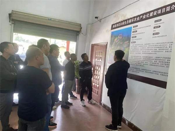 中国电子游艺网站下载安装
