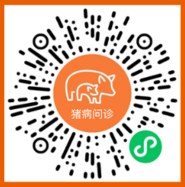 中国电子游艺网站下载安装
