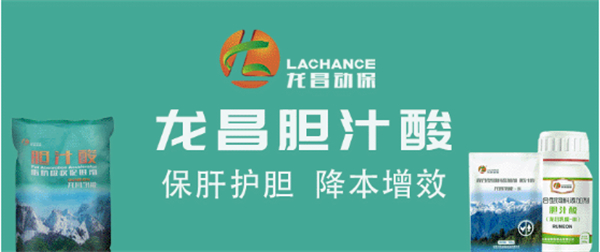 中国电子游艺网站下载安装
