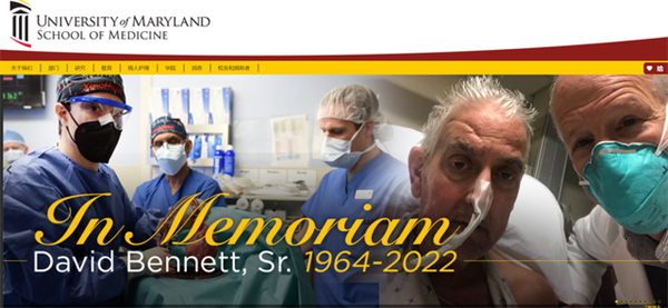 中国电子游艺网站下载安装
