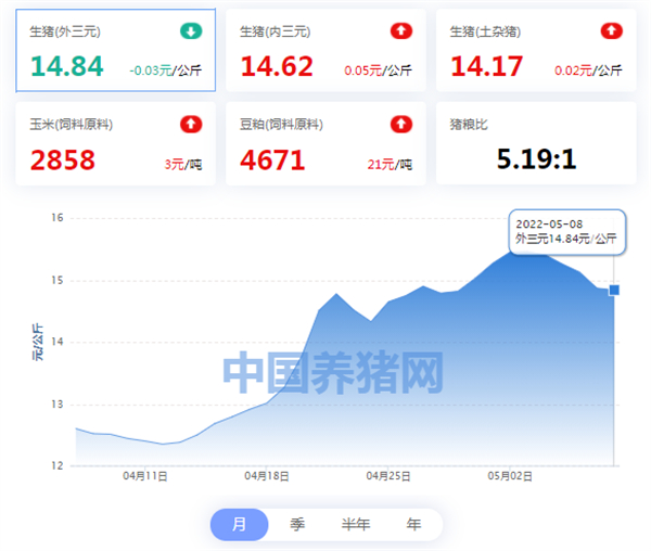 中国电子游艺网站下载安装