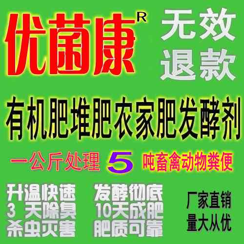 中国电子游艺网站下载安装
