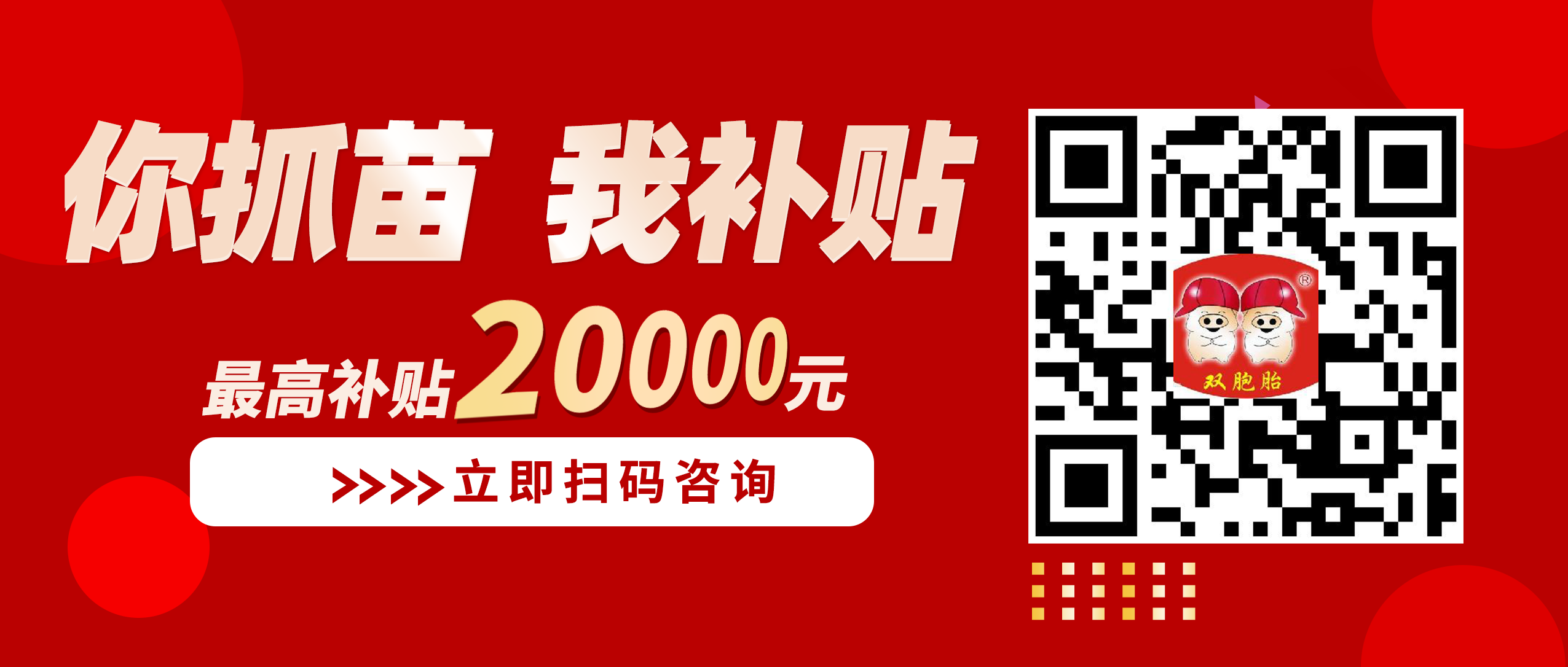 中国电子游艺网站下载安装
