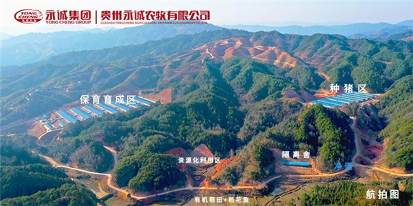 为什么说选对好母猪，就是为电子游艺网站
选对好“母亲”？